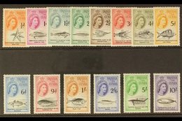 1960  Marine Life (Sterling Currency) Complete Definitive Set, SG 28/41, Never Hinged Mint. (14 Stamps) For More Images, - Tristan Da Cunha