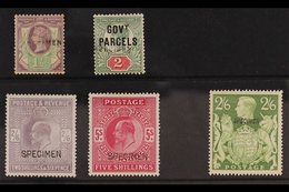 SPECIMENS  QV To Geo VI Selection With 1887 1½d Jubilee, 2d Jubilee "Govt Parcels", Ed VII 2s 6d And 5s And Geo VI 2s 6d - Andere & Zonder Classificatie