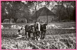Zo Was Dordrecht - Hofstede Zuidhoven A.d. Oudedijk Omstreeks 1935 - Outil Agricole Herse Tiré Par Les Chevaux - Dordrecht