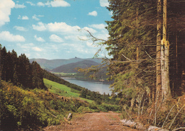 Allemagne,GERMANY,deutschland,BADE WURTEMBERG,land,TITISEE,lac De Foret Noire,glaciaire,schwarzwald - Furtwangen