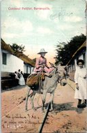 Amérique - Colombie - Cocoanut Peddler , Barranquilla (pliée Coin) - Âne - Année 1907 - Colombie