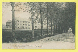 * Beirlegem - Beerlegem (Zwalm) * Pensionnat De Beirlegem, école, School, Vue Générale, Allée, Rare, Old, CPA, Unique - Zwalm