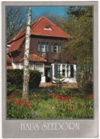 Hiddensee Kloster - Haus Seedorn - Hiddensee