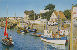 Delcampe - Courseulles 14 - Port De Pêche Et De Plaisance - Editeur Combier - Courseulles-sur-Mer