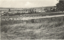 Graide - Panorama Vu De Franc-Bois - Circulé 1967  - Smetz Magasin Végé - SUPER - Bièvre