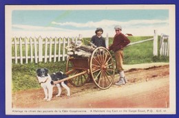 QUEBEC ? Voiture A Chien Dog Cart On The Gaspe Coast ( Très Très Bon ETAT) U151 - Ohne Zuordnung