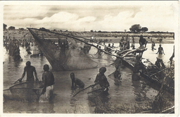 17- A.O.F. Guinée -scène De Pêche -coll. E Lattes - Guinée Française