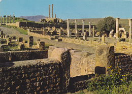 ALGERIE,AFRIQUE DU NORD,Cité Antique,ruines Romaines,TIMGAD,batna,aures,fondée Par Empereur Trajan - Batna