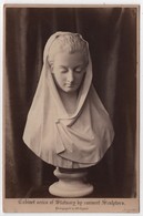 Photo Originale XIXéme Cabinet Series Of Statuary By Eminent Sculptors Modesty Marble By Cav. G. Argenti Italia - Old (before 1900)