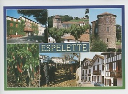 Espelette Pays Basque : Piments D'Espelette, Foire Aux Pottoks (cp Vierge N°1687 Lavielle) - Espelette