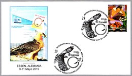 QUEBRANTAHUESOS - Gypaetus Barbatus - Bearded Vulture. Correos España En Essen (Alemania) 2019 - Afstempelingen & Vlagstempels