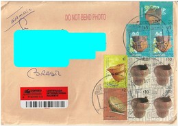 ARGENTINA To Brazil Cover Sent In 2013 With 09 Topical Stamps Registered (GN 0217) - Lettres & Documents