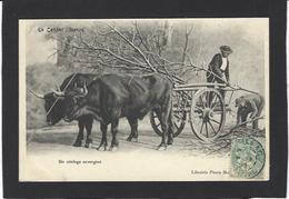 CPA Cantal 15 Attelage Circulé - Sonstige & Ohne Zuordnung