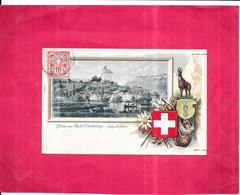 SUISSE -  CPA DOS SIMPLE COLORISEE - Gruss Aus Buchs Werdenberg - Canton St Gallen) RARE - ROY1 - - Buchs