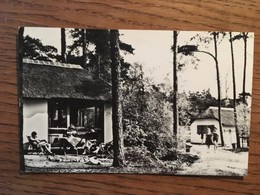 CPSM, Pays-Bas, "Het Grote Bos" Hydeparklaan 24, Doorn Post Driebergen, écrite, Timbre - Driebergen – Rijsenburg