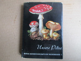 Unsere Pilze (Dr Werner Rauh) - Nature