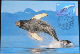 AUSTRALIAN ANTARCTIC TERRITORY 1995 Mi-Nr. 102 MK/MC - Cartoline Maximum