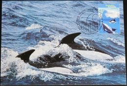 AUSTRALIAN ANTARCTIC TERRITORY 1995 Mi-Nr. 103 MK/MC - Tarjetas – Máxima