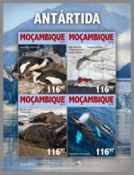 MOZAMBIQUE 2019 MNH Antarctica Antarktis Südpol Antarctique M/S - OFFICIAL ISSUE - DH1924 - Antarctic Wildlife