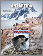 MOZAMBIQUE 2019 MNH Antarctica Antarktis Südpol Antarctique S/S - OFFICIAL ISSUE - DH1924 - Antarctic Wildlife