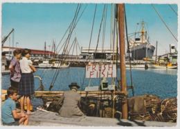 Australia TASMANIA Wharves Ships Docks HOBART Engelander Krüger 798/15 Postcard C1960s - Lauceston