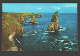 Duncansby - The Wild Grandeur Of The Stacks Of Duncansby - Caithness