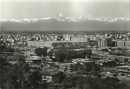 4387"TORINO-PANORAMA DAL PARCO EUROPA-EDIFICI DEL BIT"MONVISO SULLO SFONDO-CART.POST ORIG.NON SPED. - Multi-vues, Vues Panoramiques