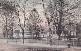 PC New York - View On First Avenue - College Point - 1911 (42137) - Queens