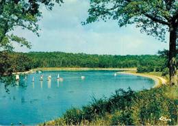 Canton De Vouillé Plan D'eau De Fleix A Ayron 1981  CPM Ou CPSM - Vouille