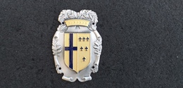 Fregio Metallico D'epoca Per Berretto Amministrazione Provinciale Di Parma Ottimo Stato - Police & Gendarmerie