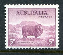 Australia 1937-49 KGVI Definitives (p.13½ X 14) - 5d Merino Lamb LHM (SG 171) - Mint Stamps