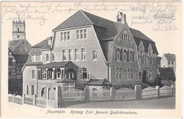 NEUSTRELITZ Herzog Carl Borwin Gedächtnisheim Deutlicher Bahnpost Stempel Z 78 7.5.1915 TOP-Erhaltung - Neustrelitz