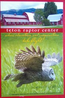 Teton Raptor Center - Autres & Non Classés