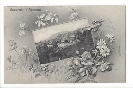 23025 - Souvenir D'Aubonne 1912 Fleurs Narcisses - Aubonne