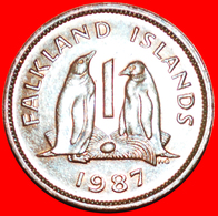 + PENGUINS (1974-1992): FALKLAND ISLANDS ★ 1 PENNY 1987! LOW START ★ NO RESERVE! - Falklandeilanden