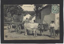 CPA Pyrénées Région Circulé Métier Attelage Bagnères - Midi-Pyrénées