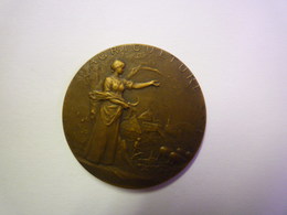 GP 2019 - 1628  Jolie Médaille  " Comice Agricole De St-Martin-de-Gurçon "  En Bronze  1926 - Autres & Non Classés
