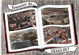 81-GRAULHET-MULTIVUES - Graulhet