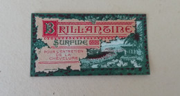 étiquette Ancienne Brillantine L'entretien De La Chevelure Illustré / Jouneau, Pour Flacon De Coiffeur, Parfumerie - Labels