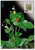 3 Cartes Maximum 2000 Fruits Des Bois (myrtille, Framboise, Fraise) / Maximum Cards (3) Berries - FDC