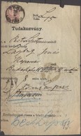 1873 Réznyomat 5kr Tudakozvány Darabon / Mi 10 On Reclamation Piece 'PEST LIPÓTVÁROS' - Sonstige & Ohne Zuordnung