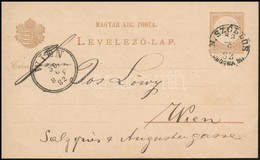 1882 2kr Díjjegyes Levelezőlap 'N.SZŐLLŐS' Kárpátaljai Bélyegzéssel, Szép és Ritka Darab RR! - Other & Unclassified