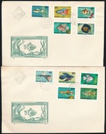 1962 Akváriumi Díszhalak (I.) Vágott Sor 2  FDC-n (12.000) - Andere & Zonder Classificatie