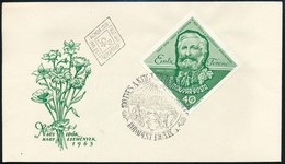 1963 Entz Ferenc Vágott Bélyeg FDC-n - Altri & Non Classificati