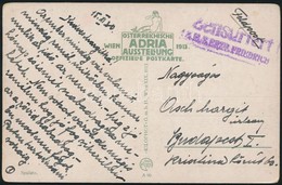 1915 Képeslap Haditengerészeti Postával  'Zensuriert S.M.S. ERZH. FRIEDRICH' - Andere & Zonder Classificatie