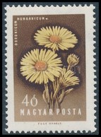 ** 1958 Virág 40f 'a Virágnév Után Fehér Folt' Tévnyomattal - Sonstige & Ohne Zuordnung