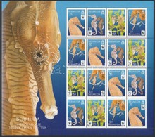 ** 2010 WWF: Tengeri Csikók Kisív Mi 1005-1008 - Sonstige & Ohne Zuordnung