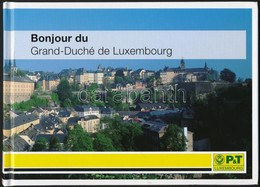** 2008 Luxemburg Bemutatása Kisméretű Színes Könyv 2004 és 2007 Között Kiadott Bélyegekkel Színesítve, Angol Nyelven Is - Altri & Non Classificati