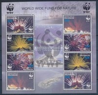 ** 2005 WWF: Korallok 2 és 4 Sort Tartalmazó Kisívek - Andere & Zonder Classificatie