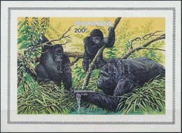 ** 2010 Gorillák Vágott Blokk Mi 103 B - Sonstige & Ohne Zuordnung
